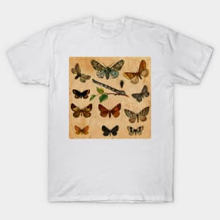 Butterfly T-Shirt